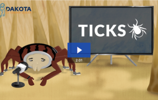 Tick Safety